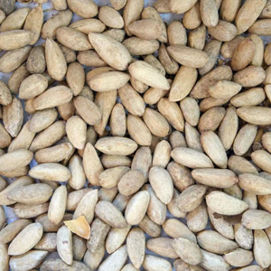 Graines de Neem de qualité alimentaire naturelle pour usage industriel dans les compléments alimentaires et la production d'huile - Product Image 3