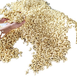 Vietnamese Cashew Nuts W320 Flavor and Kaju Cashew and Cashew Nuts W240 Vietnamese Origin - Product Image 1