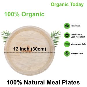 Assiette en feuille de palmier Areca de 12 pouces Organic Today, 100% naturelle, écologique, jetable, vaisselle de fête, passe au micro-ondes, passe au congélateur - Product Image 1