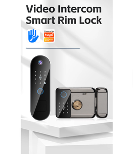 OEM ODM Waterproof WiFi Smart Electric Rim <b>Lock</b> 12V for Steel/Wood Door Outdoor High Temperature - Product Image 1