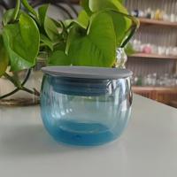 Nouvel appareil de préparation de thé anti-brûlure avec couvercle en silicone, théière en verre pour la maison