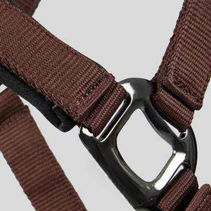 Cabestros de Equitación Personalizados, Fabricantes Profesionales, Venta Caliente, Precio Económico - Product Image 6