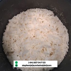 Riz Jasmin à Grains Longs DT8 Pur Qualité Supérieure 5% Brisures du Vietnam - Product Image 3