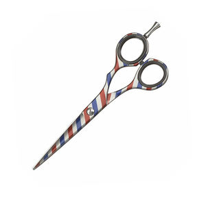 Ciseaux de coiffure de haute qualité avec repose-doigts réglable et silencieux pour usage en salon - Product Image 6