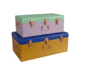 Stackable Storage Trunks Lidded Rectangle Medium Capacity Metal Home Organization Pink Blue Red Light Blue Trunk <b>Box</b> - Product Image 5