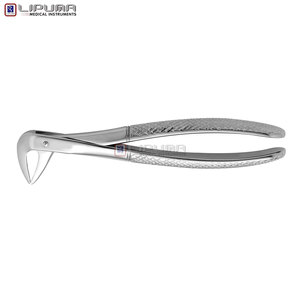 Pinzas de Extracción Tipo Berten PLUS 74 de Calidad Premium, Instrumento Quirúrgico Dental de Acero Inoxidable Alemán para Extracción de Dientes - Product Image 3