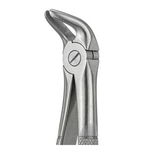 Forceps d'extraction Fig. 12 "English Pattern" |   Acier inoxydable de qualité supérieure - Product Image 3