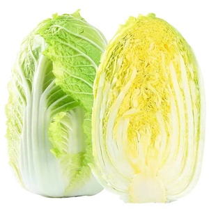 Repollo Fresco de Alta Calidad (Variedad Verde) 10 kg Grado Alimenticio con Precio de Granja - Marca CREKS - Product Image 5