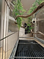 Cage à oiseaux en aluminium léger et personnalisé grande avec arbre artificiel et caméra intégrée Volière de qualité supérieure avec accessoires pour mangeoire