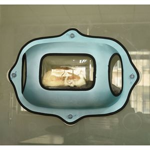Purr View Lettino e Cuccia Trasparente per Gatti con Ventosa per Porte e Finestre - Product Image 3