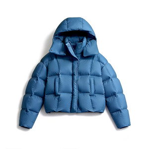 Veste matelassée simple et chaude pour femme, personnalisable, à capuche, avec rembourrage en duvet de canard blanc, imperméable, courte, en nylon - Product Image 1