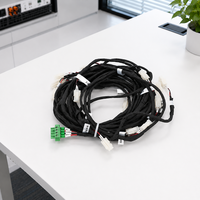 Conjunto de Cables de Arnés de Conexión Múltiple Personalizado para Sistema de Control de Equipos Industriales OEM ODM