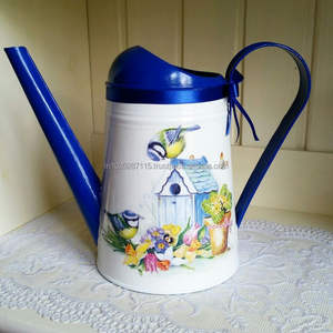 Beautifully designed <b>enamel</b> <b>paint</b> galvanized water can with sturdy handle suitable <b>for</b> daily watering and rustic home accents - Product Image 1