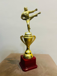 Trofeo de Karate Personalizable, Chapado en Oro, Duradero, de Alta Calidad, Medalla de Competición Escolar, Placa para Reconocer a los Ganadores, Metal - Product Image 3