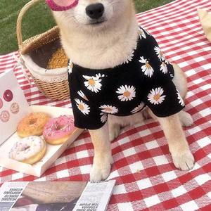 Sudaderas con capucha para perros sublimadas, impresas, 100% poliéster, tacto suave, proveedor de ropa para mascotas, colores personalizados - Product Image 6