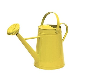 Arrosoir en métal violet avec long bec verseur et finition peinte durable pour le jardinage, arrosoir en acier inoxydable - Product Image 4