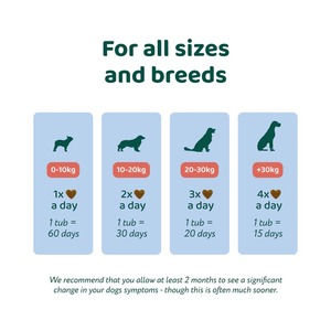 Friandises à mâcher saveur poulet pour chiens et chats, marque privée, soutien avancé des articulations et du système immunitaire, huile de graines de chanvre à absorption rapide - Product Image 3