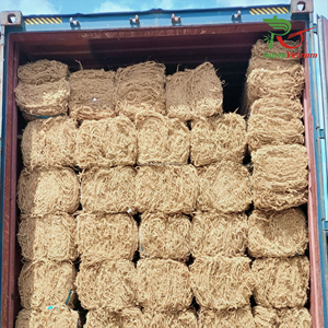 Les grossistes vietnamiens fournissent de la fibre de coco crue naturelle à bas prix pour les meubles et l'artisanat directement de Mr.Huy + 84916930070 - Product Image 2