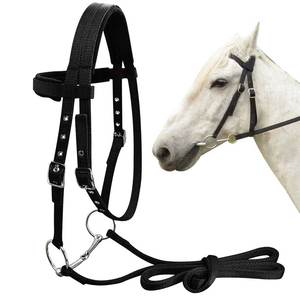 Black Knitted Horse Halter with Adjustable Straps Metal Buckles Skulls Pattern Anti-UV for Equestrian Riding - Product Image 4