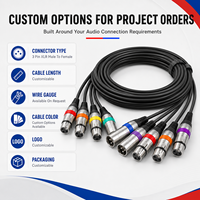 Câble Combo XLR Professionnel Ice Combo, Câble de Signal Powercon DMX512 pour Équipement d'Éclairage Scénique, Assemblage de Câbles Personnalisés OEM ODM