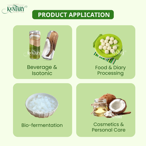 Cocos Verdes Frescos de Grado Agrícola con Cáscara Entera y Agua de Coco Dulce, Venta al por Mayor desde Vietnam - Product Image 5