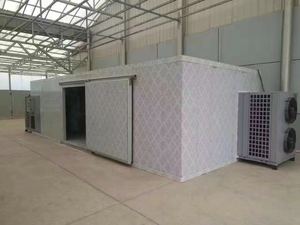 Four à air chaud à économie d'énergie pour aliments, algues, fraises, séchoir à fruits et légumes - Product Image 2