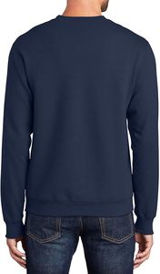 Sweat-shirt à capuche en molleton pour homme, taille plus, 100% coton, uni, teint, pour la saison hivernale - Product Image 5