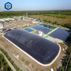 Revestimiento de Geomembrana de <span class=keywords><strong>HDPE</strong></span> impermeable de plástico superventas para proyectos de biogás en Gran Bretaña - Product Image 1