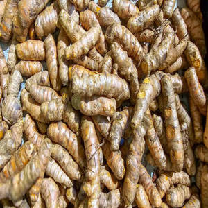 Doigts de curcuma entiers indiens prêts à l'exportation pour la distribution en gros d'épices, les achats de gros volumes et l'industrie alimentaire mondiale - Product Image 4