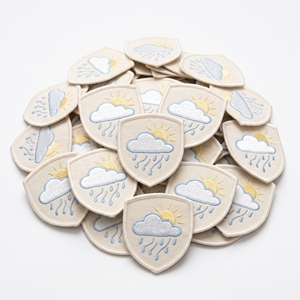Écusson brodé hexagonal, plante succulente en pot, fabricant sur mesure, badges géométriques de cactus pour vêtements - Product Image 2