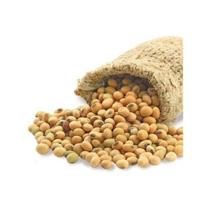 Soja Orgánica de Calidad Superior a Precio Competitivo, Soja Amarilla No Frita de Gran Calidad - Product Image 2