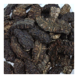 Tranches de Noni séchées de qualité supérieure pour la production de tisanes et le traitement industriel des boissons à l'échelle mondiale - Product Image 1