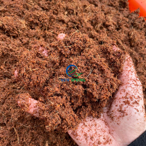 Blocs de coco de haute qualité-Milieu de culture écologique, excellente rétention d'eau, aération, stockage et transport faciles - Product Image 2