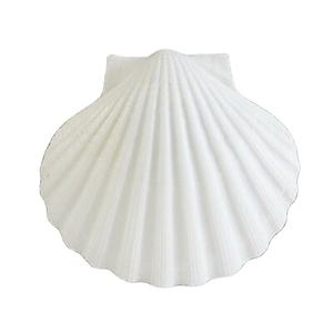 Cangrejo Rojo Entero Seco y Limpio a Precio Económico, Certificado HACCP, Origen Vietnam. Contactar a la Sra. Lily - Product Image 2