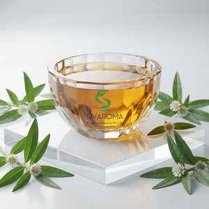 Huile de Bhringraj : Ingrédient Botanique pour Soins Capillaires, Formulations Cosmétiques, Mélange de Beauté et Usage Professionnel - Product Image 5