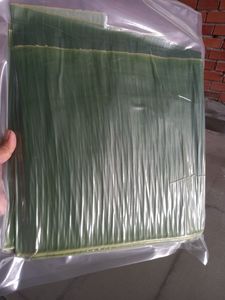 Feuilles de bananier naturelles de qualité supérieure, coupées rondes, pour cuisson vapeur et pâtisserie traditionnelle, fournisseur en gros, prix d'usine - Product Image 5