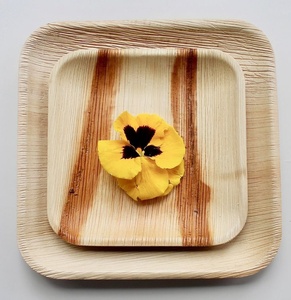 Hot Selling 6 Inches Square <b>Plates</b> Pack of 25 <b>Disposable</b> Natural Leaf Dessert <b>Plates</b> for Cakes Pastries and Snacks Special Party - Product Image 1
