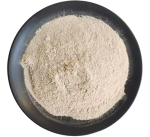 Poudre de terre de Fuller - Product Image 2
