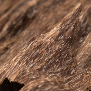 Exportation en gros de bois d'oud - Product Image 6