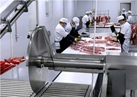 Équipement de scie circulaire pour les machines principales de transformation des aliments dans les lignes d'abattage de laiterie Acier inoxydable SUS304 automatique