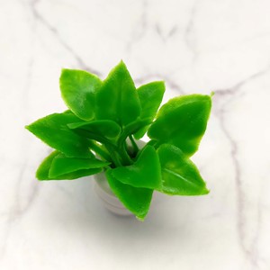 Planta en maceta en miniatura para casa de muñecas, modelo de flor verde de plástico, accesorio de paisaje exterior para mayores de 14 años, escala 1:12 - Product Image 5