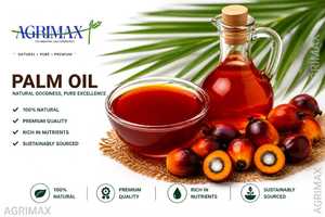 Aceite de Palma de Calidad para la Industria Alimentaria, Aplicaciones Culinarias, Operaciones de Fritura, Suministro a Granel, AGRIMAX LLC, Grado Superior, 99.9% de Pureza - Product Image 1