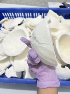 Vietnam Frozen <b>Coconut</b> Pieces Bulk Supply for Beverage Factory and Food Service - Product Image 5