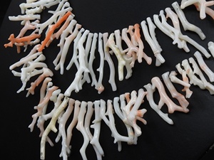 Bâtons de corail blanc poli brut, 16 pouces, 30x4 à 8x2 mm (environ), pierre naturelle pour la fabrication de bijoux, certifiée par un tiers, taille du trou - Product Image 6
