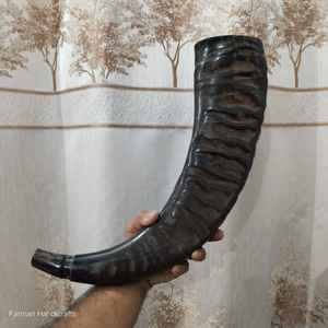 Corneta Tradicional de Búfalo Grande con Cordón de Cuero, Instrumento Musical Tradicional a Precio Económico - Product Image 1