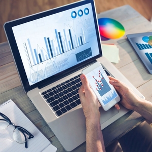 Services professionnels avancés de maintenance et de gestion de la publicité par mots-clés (PPC) KWA pour les boutiques en ligne - Product Image 4