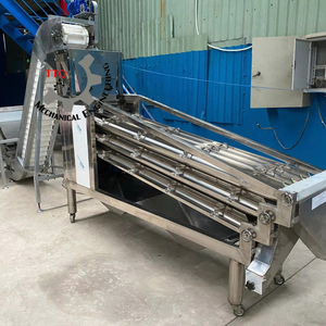 Machine de calibrage automatique de noix de cajou de haute qualité, marque TTQ, 380V, pour usine de transformation de fruits, directement du Vietnam, nouveau prix compétitif - Product Image 1