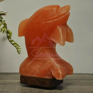 Lámpara de Sal del Himalaya de Diseño Sólido y Duradero, con Brillo Cálido para el Hogar - Product Image 3