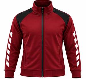 Zip-Up Sport Jacket Raglan Sleeve Breathable Knitted Stand <b>Collar</b> Regular Fit Autumn Wear - Product Image 1