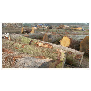 Bûches de chêne de haute qualité, bois dur pour la fabrication de meubles et le traitement du bois industriel, exportation - Product Image 2